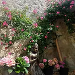 La Lumiere Doree Ferienhaus Lauzerte