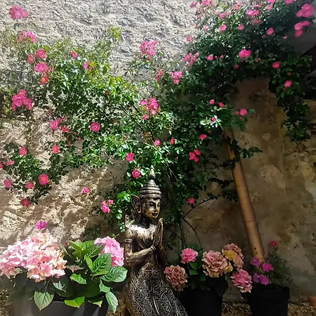 La Lumiere Doree Σπίτι διακοπών Lauzerte